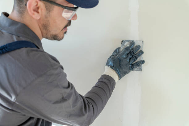 Best Touch-Up Painting  in Nashotah, WI